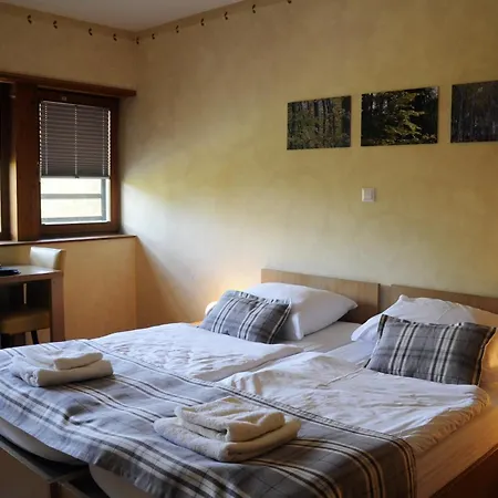 Celjska Koca 3* Celje