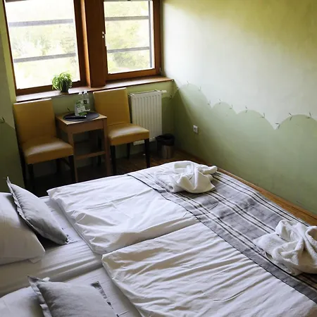 Hotel Celjska Koca 3*