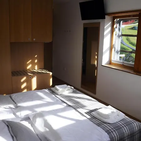 Celjska Koca