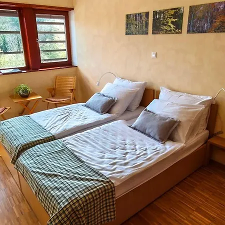 Celjska Koca Celje