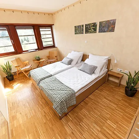 Celjska Koca 3* Celje