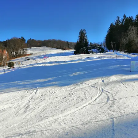 Celjska Koca