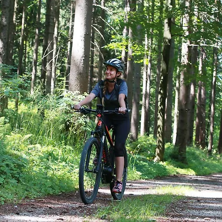 Celjska Koca فندق 3*