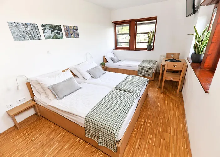 Hotel Celjska Koca Celje