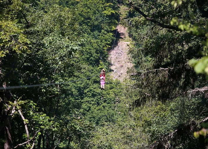 Celjska Koca 3* Celje