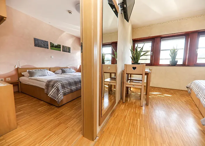 Hotel Celjska Koca 3*