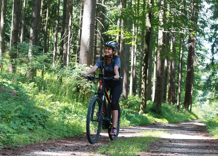 Celjska Koca Hotel Celje