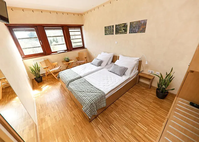 Celjska Koca 3* Celje