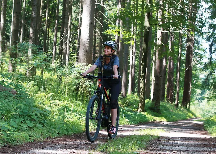 Celjska Koca Szálloda 3*