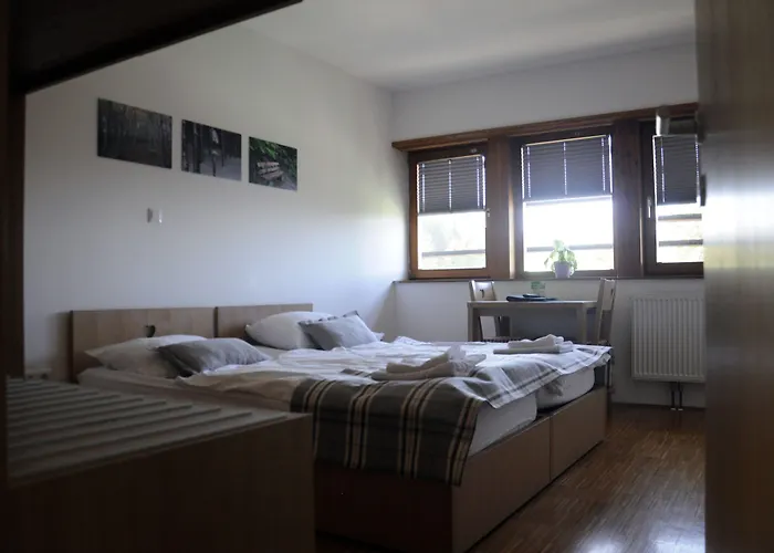 Celjska Koca 3* Celje